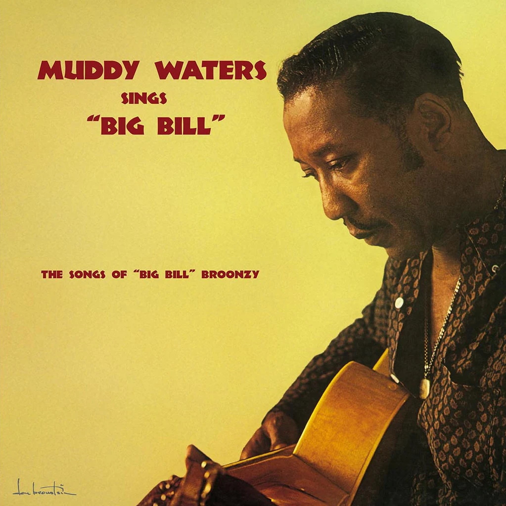 Waters, Muddy - Sings Big Bill 180g (LP - New)