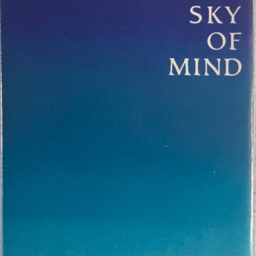 Ray Lynch - The Sky Of Mind (CS-Used)