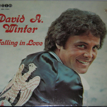David Alexandre Winter - Falling In Love (LP-Used)