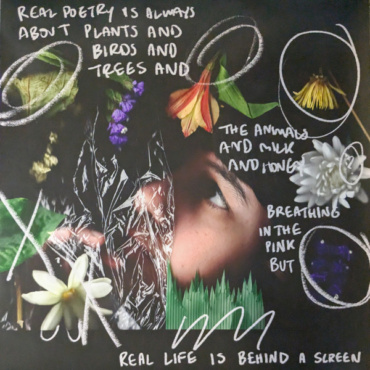 Pacing - Real Poetry Is Always About Plants And Birds And Trees And The Animals And Milk And Honey Breathing In The Pink But Real Life Is Behind A Screen (LP-Used)