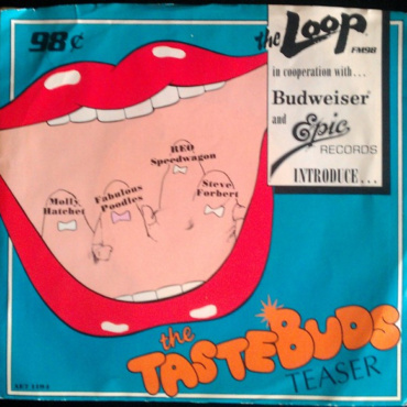 Various - The TasteBuds Teaser (7IN-Used)