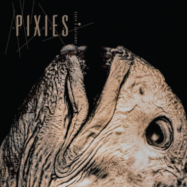 Pixies - Complete B Sides: 1988-97 (Iex) Clear (LP-New)