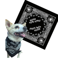 Pet