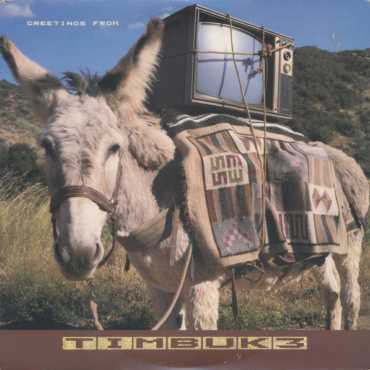 Timbuk 3 - Greetings From Timbuk 3 (LP-Used)